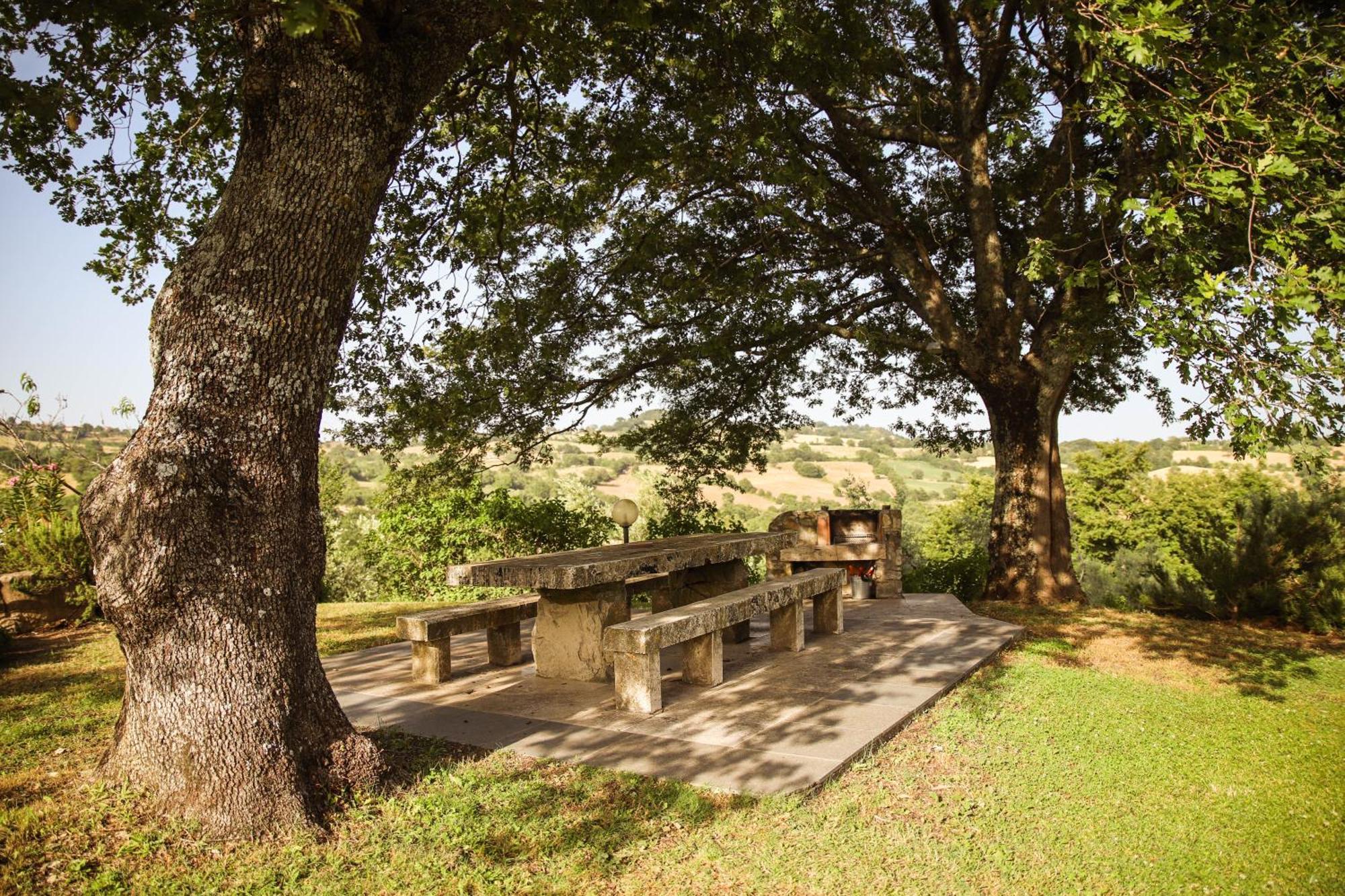 Bio Agriturismo Poggio Aione Сатурния Экстерьер фото