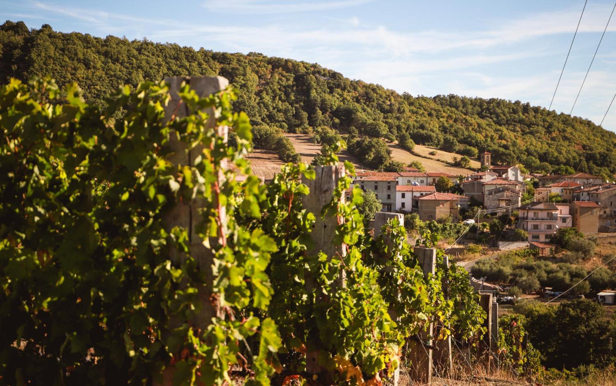 Bio Agriturismo Poggio Aione Сатурния Экстерьер фото