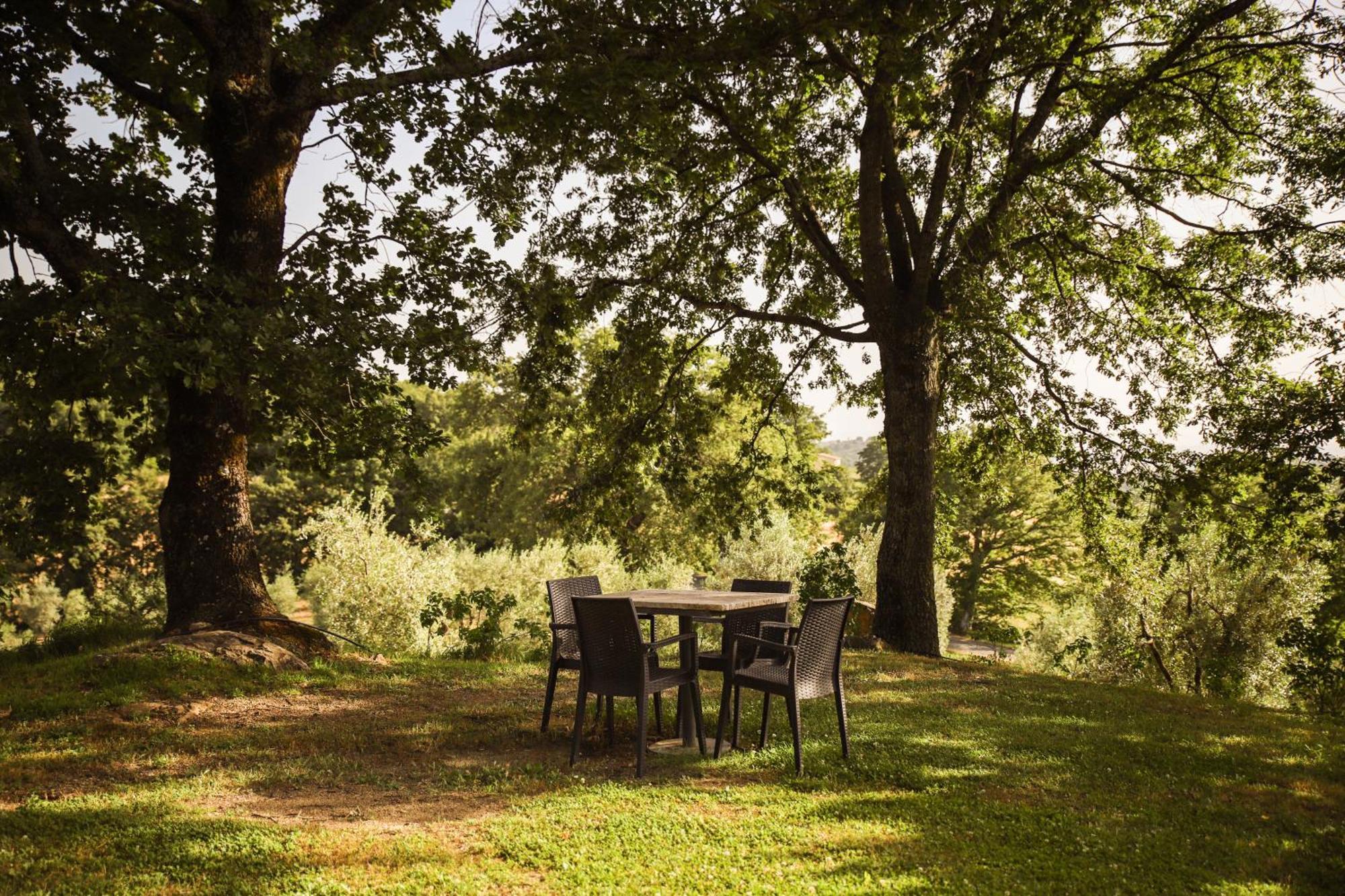 Bio Agriturismo Poggio Aione Сатурния Экстерьер фото